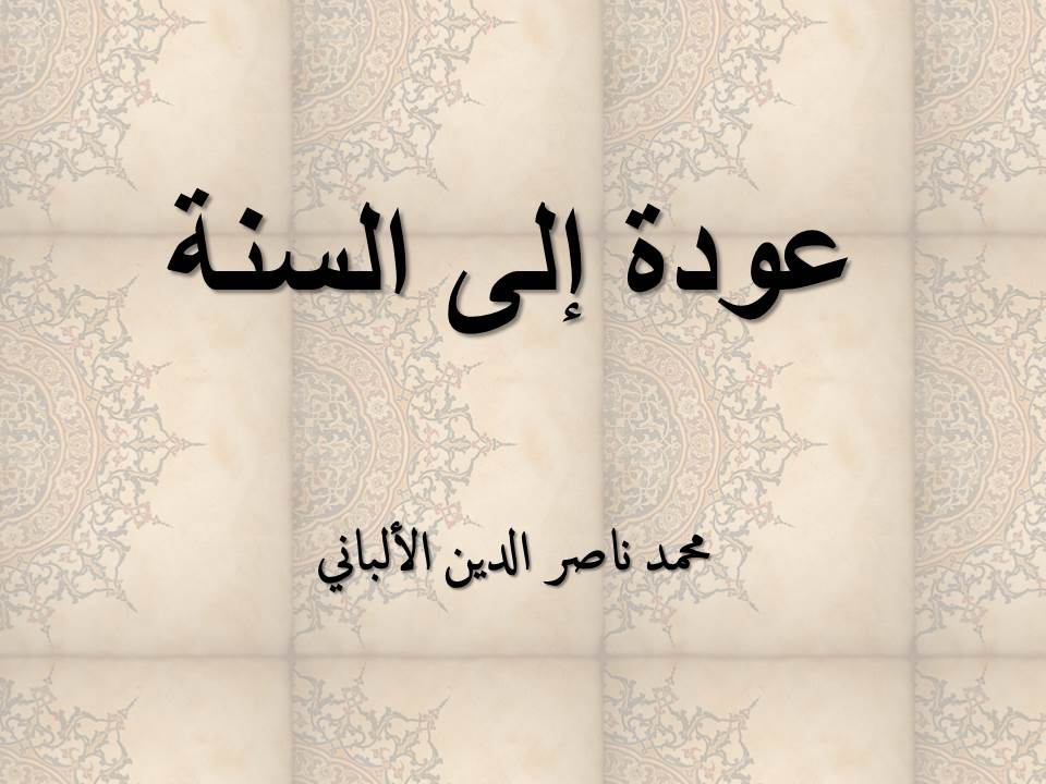 عودة إلى السنة